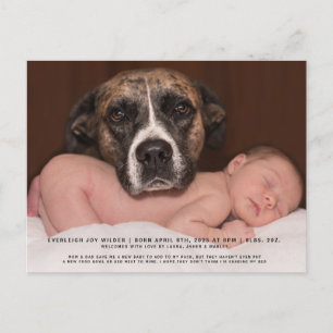 Funny Dog Baby Photo Birth Announcement Postcard