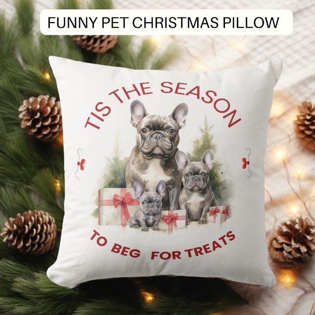 Funny Dog Begging for Treats Christmas Cushion (Creator Uploaded)