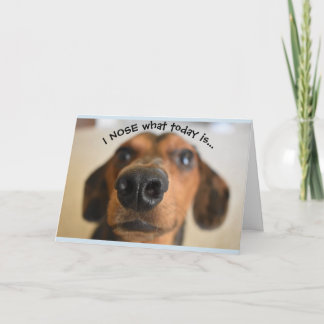 Funny Dog Birthday Card