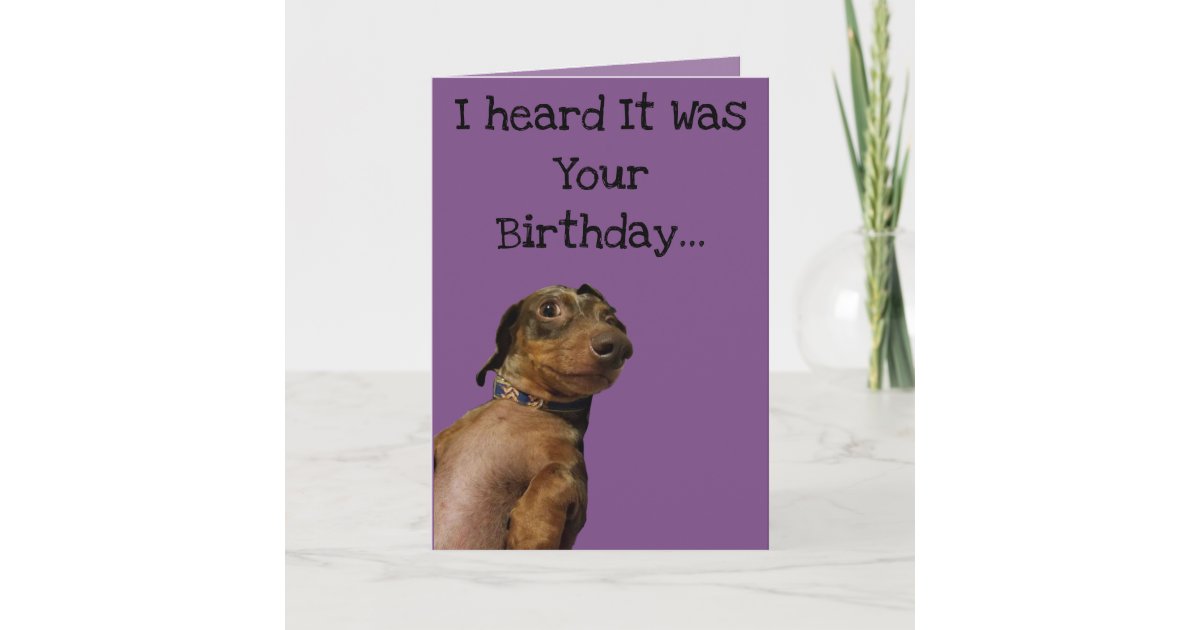 Funny Dog Birthday Card