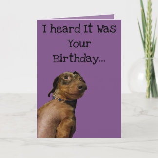 Funny Dog Birthday Card