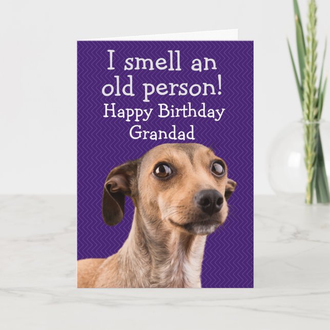 Funny dog birthday card (Front)