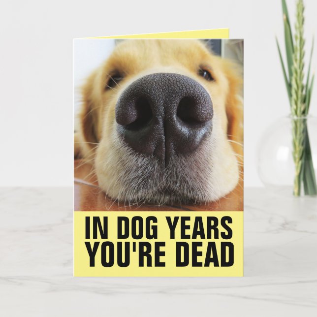 FUNNY DOG BIRTHDAY, IN DOG YEARS YOU'RE DEAD CARD (Front)