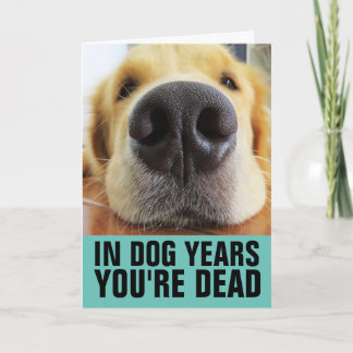 FUNNY DOG BIRTHDAY, IN DOG YEARS YOU'RE DEAD CARD