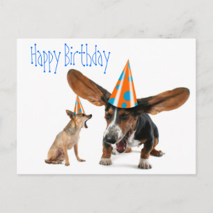 Funny Dog Birthday Postcard