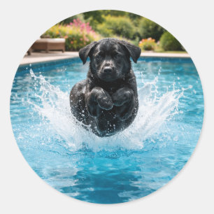 Funny dog Canonball  Summer Pool Party Classic Round Sticker