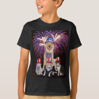 Funny Dog & Cats July 4th
