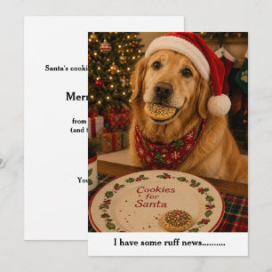 Funny Dog Christmas Card