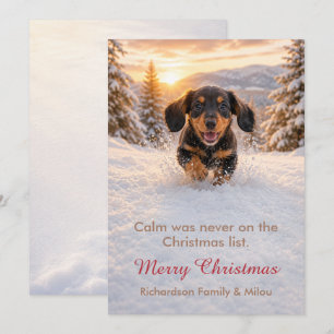 Funny Dog Christmas Card Cute Puppy Family