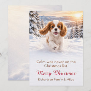 Funny Dog Christmas Card Cute Puppy Family