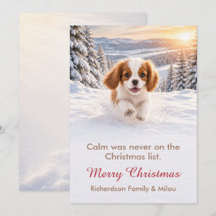 Funny Dog Christmas Card Cute Puppy Family