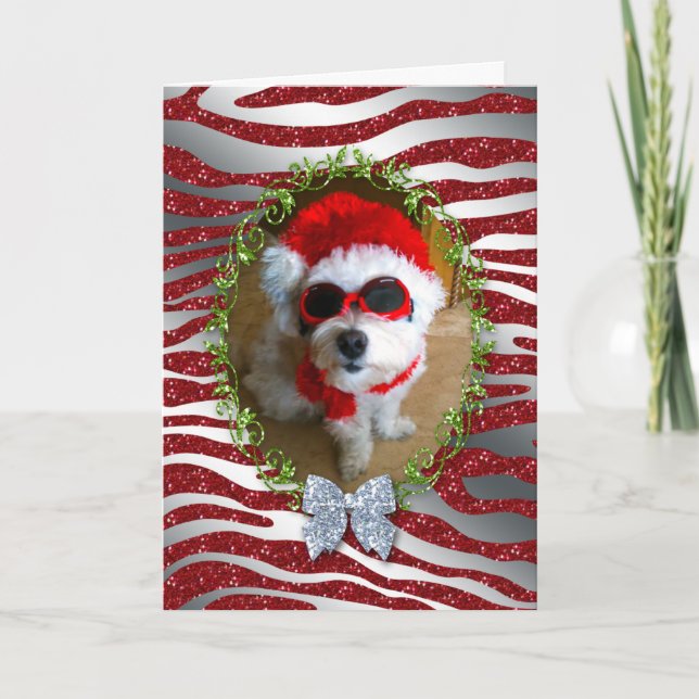 Funny Dog Christmas Card Zebra Glitter (Front)