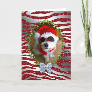 Funny Dog Christmas Card Zebra Glitter