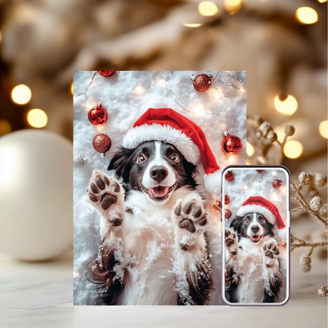 Funny Dog Christmas Cards (Creator Uploaded)