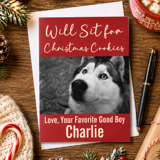 Funny Dog Christmas Cookies Humour Custom Photo Holiday Card
