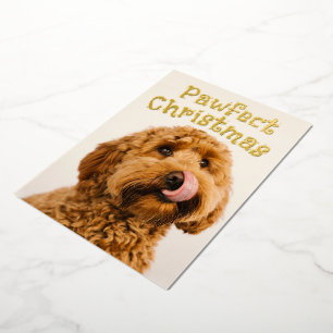 Funny dog Christmas double sided Foil photo card