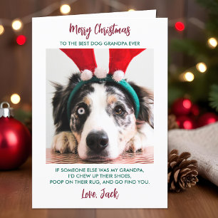 Funny Dog Christmas Granddog Custom Pet Photo Holiday Card