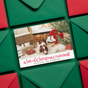 Funny Dog Christmas Picture Personalised Pet Photo Holiday Card
