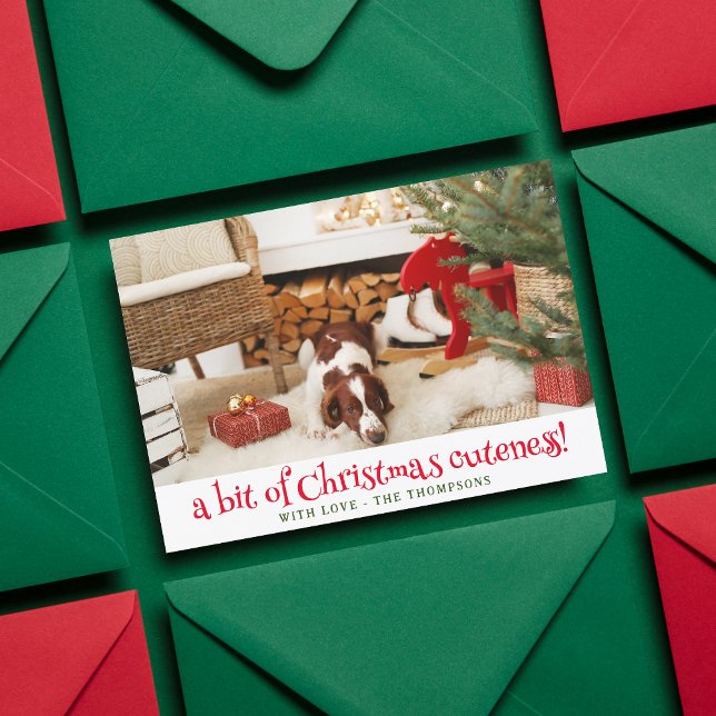 Funny Dog Christmas Picture Personalised Pet Photo Holiday Card (Creator Uploaded)