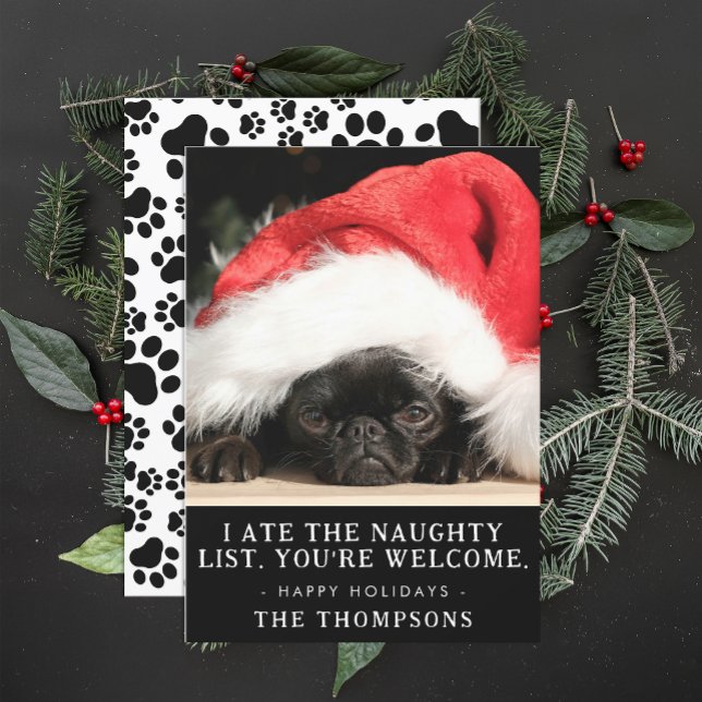 Funny Dog Christmas Picture Personalised Photo Holiday Card (Creator Uploaded)