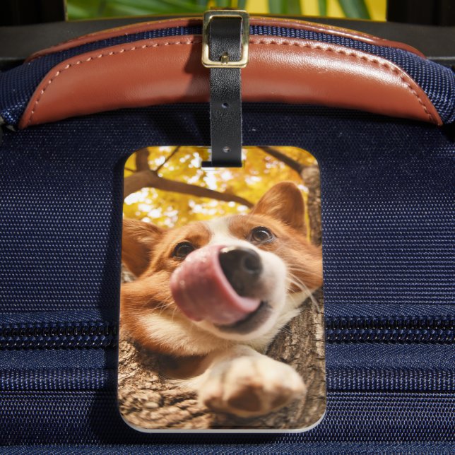 Funny Dog Custom Photo Luggage Tag (Front Insitu 2)