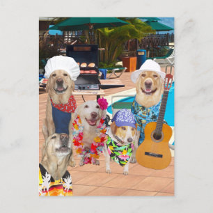 Funny Dog Customisable Pool Party Postcard Invite