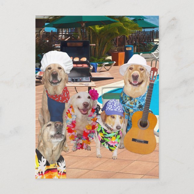 Funny Dog Customisable Pool Party Postcard Invite (Front)