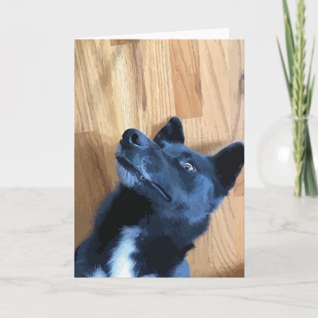 Funny Dog Face Laying Down Black And White Dog Card (Front)