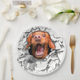 Funny dog face  paper plate