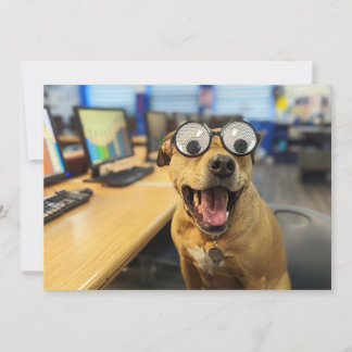 Funny Dog Googly Eyes, colourful, happy Photo Card