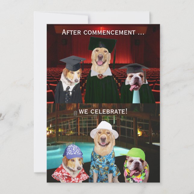 Funny Dog Graduation Party Invitation (Front)