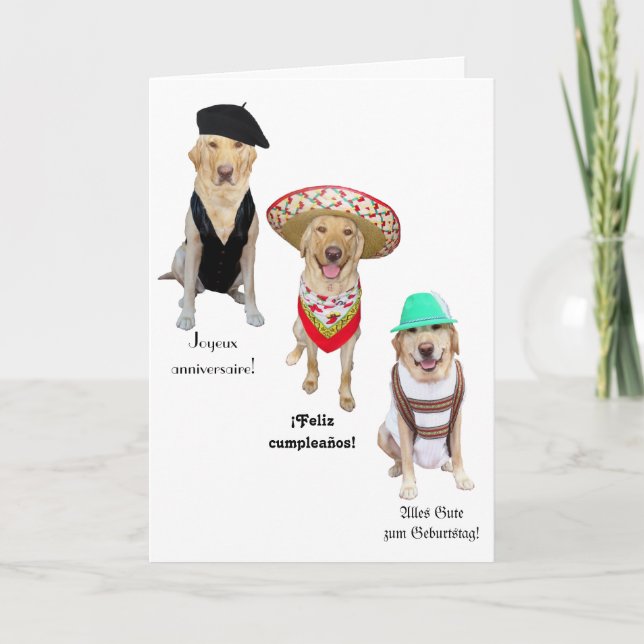 Funny Dog Happy Birthday in Four Languages Card (Front)