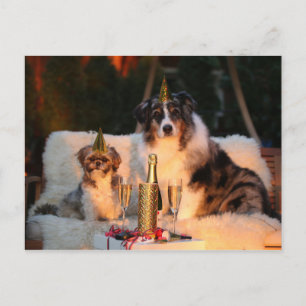 Funny Dog Happy New Year's Eve Photo Postcard