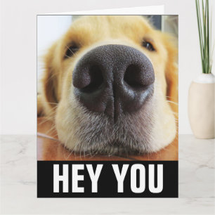 FUNNY DOG HELLO ANYTIME GREETING CARD