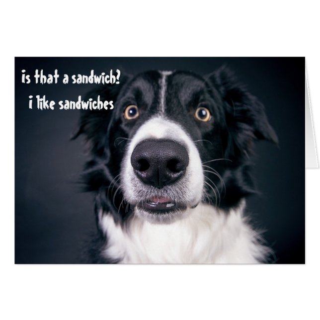 Funny Dog Hungry Like Sandwiches Border Collie (Front Horizontal)