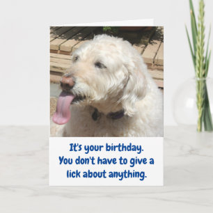 Funny Dog & Ice Cream Birthday Card