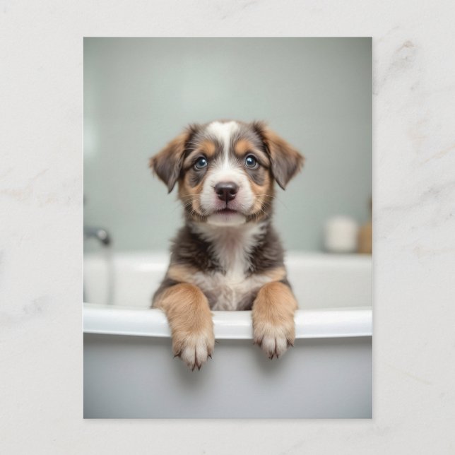 Funny dog in bathroom postcard (Front)