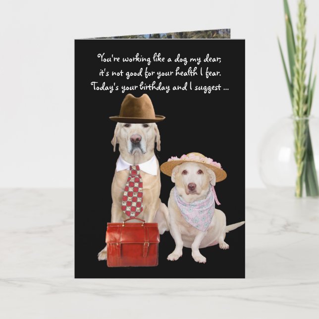 Funny Dog/Lab Birthday for Husband Card (Front)