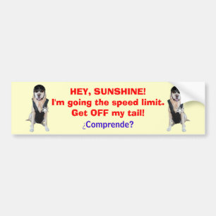 Funny Dog/Lab Bumper Sticker for tailgators