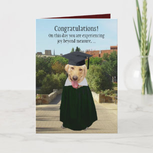 Funny Dog/Lab Graduation Card