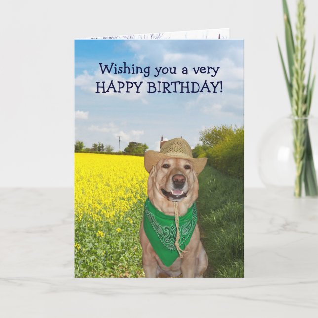 Funny Dog/Lab No Bull Birthday Card (Front)