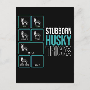 Funny Dog Lazy Puppy Stubborn Husky Postcard