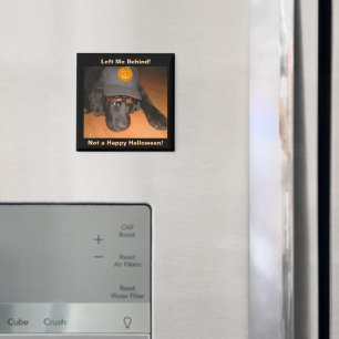 Funny Dog Left Behind This Halloween Magnet