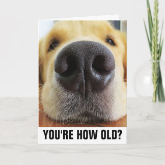 FUNNY DOG LOVER BIRTHDAY CARDS, OVER THE HILL CARD