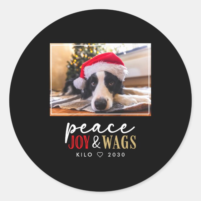 Funny Dog Lover Christmas Photo Cute D  Classic Round Sticker (Front)