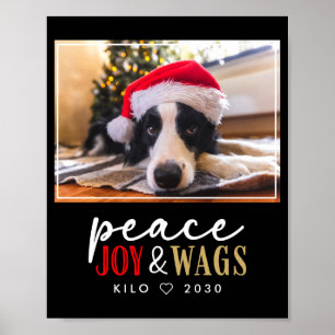 Funny Dog Lover Christmas Photo Cute D Poster