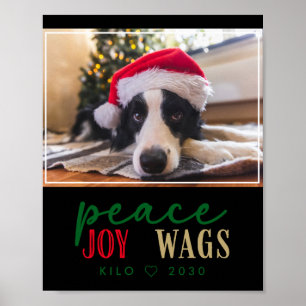 Funny Dog Lover Christmas Photo Cute D T Shirt Poster