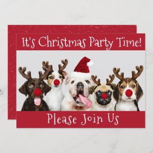 Funny Dog Lovers, Christmas Party Time  Invitation