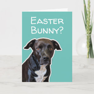 Funny Dog Lovers Easter Bunny Card