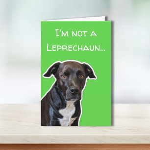 Funny Dog Lovers St. Patrick's Day Card